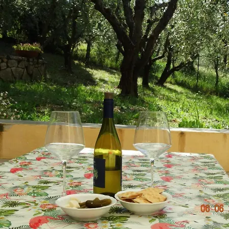 Poggio House, Tranquillità E Comfort Nella Natura Appartamento *