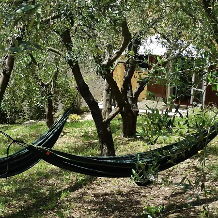 Poggio House, Tranquillità E Comfort Nella Natura Appartamento *