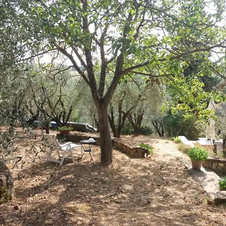 Poggio House, Tranquillità E Comfort Nella Natura Appartamento *