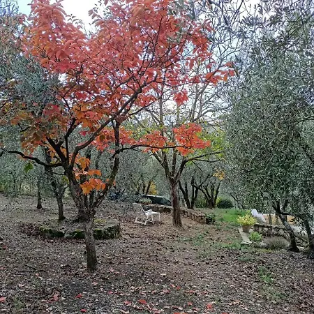 Poggio House, Tranquillità E Comfort Nella Natura Appartamento San Casciano in Val di Pesa
