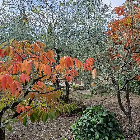 Poggio House, Tranquillità E Comfort Nella Natura San Casciano in Val di Pesa