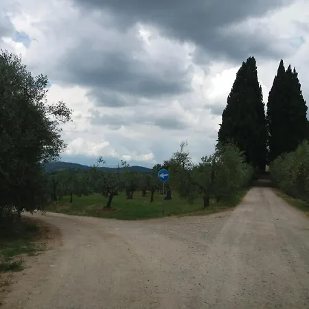 Poggio House, Tranquillità E Comfort Nella Natura