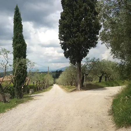 Poggio House, Tranquillità E Comfort Nella Natura *