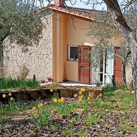 Appartamento Poggio House, Tranquillità E Comfort Nella Natura