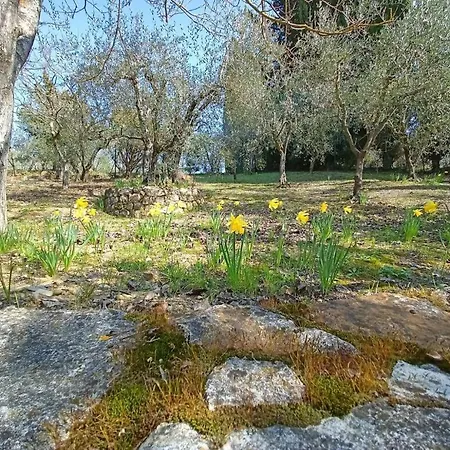 Poggio House, Tranquillità E Comfort Nella Natura Appartamento